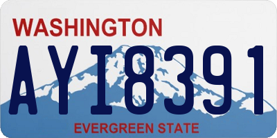 WA license plate AYI8391