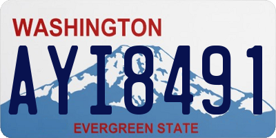 WA license plate AYI8491