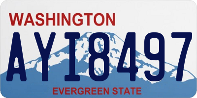 WA license plate AYI8497