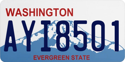 WA license plate AYI8501
