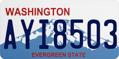WA license plate AYI8503