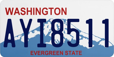 WA license plate AYI8511