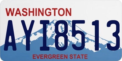 WA license plate AYI8513