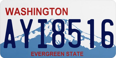 WA license plate AYI8516