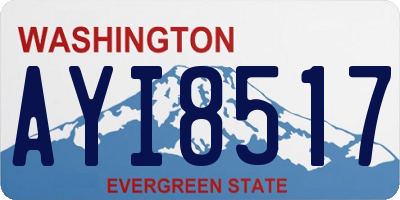 WA license plate AYI8517