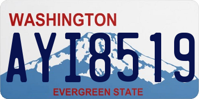 WA license plate AYI8519