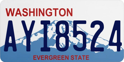 WA license plate AYI8524