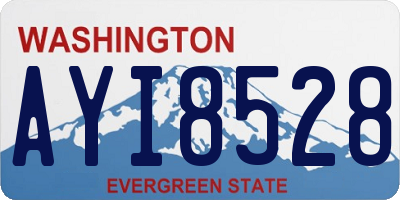 WA license plate AYI8528