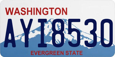 WA license plate AYI8530