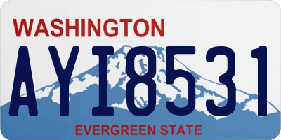 WA license plate AYI8531