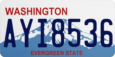 WA license plate AYI8536