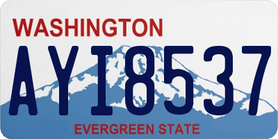 WA license plate AYI8537