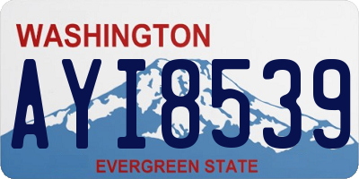 WA license plate AYI8539