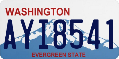 WA license plate AYI8541