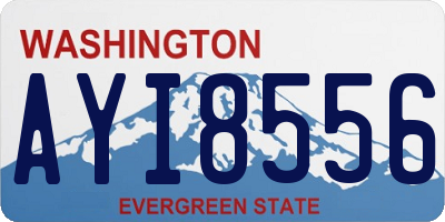 WA license plate AYI8556