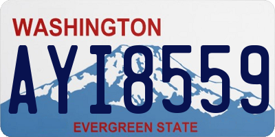 WA license plate AYI8559