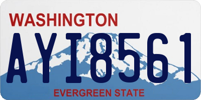 WA license plate AYI8561
