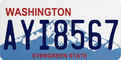 WA license plate AYI8567