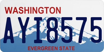 WA license plate AYI8575