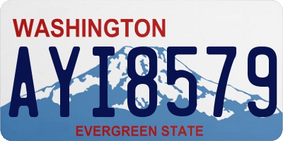 WA license plate AYI8579