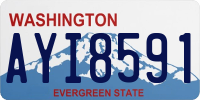 WA license plate AYI8591