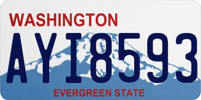 WA license plate AYI8593
