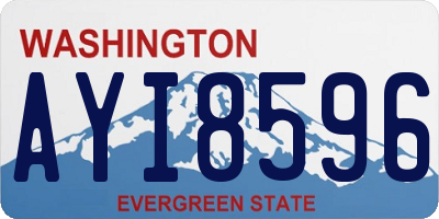 WA license plate AYI8596