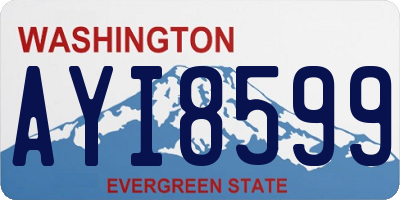 WA license plate AYI8599