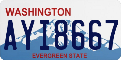 WA license plate AYI8667