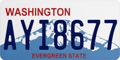 WA license plate AYI8677