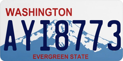 WA license plate AYI8773
