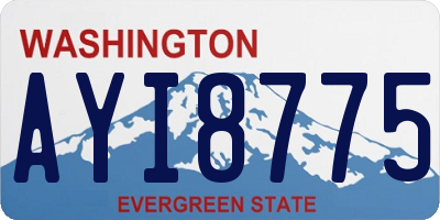 WA license plate AYI8775