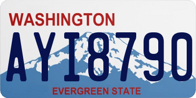 WA license plate AYI8790