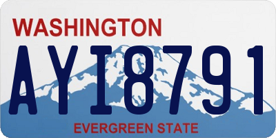 WA license plate AYI8791