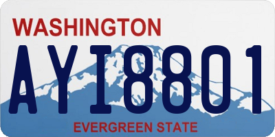 WA license plate AYI8801