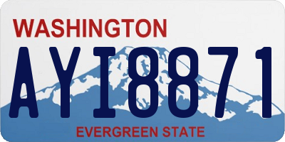 WA license plate AYI8871