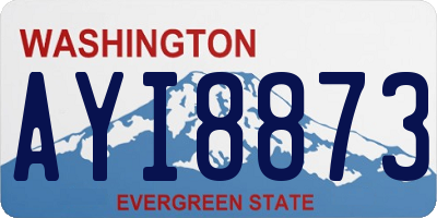 WA license plate AYI8873