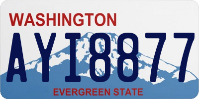 WA license plate AYI8877