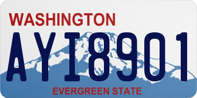WA license plate AYI8901