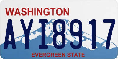 WA license plate AYI8917