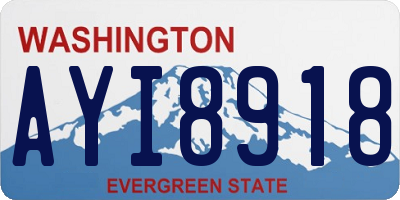 WA license plate AYI8918