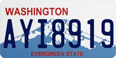 WA license plate AYI8919