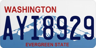 WA license plate AYI8929