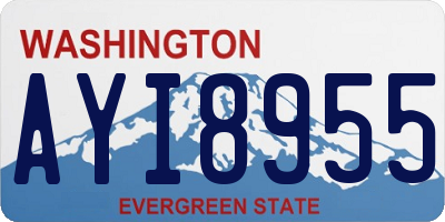 WA license plate AYI8955