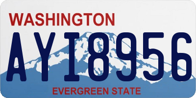 WA license plate AYI8956