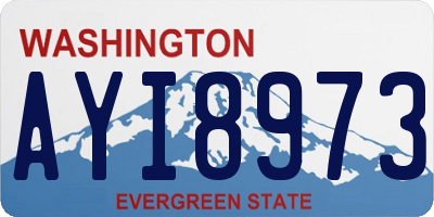WA license plate AYI8973