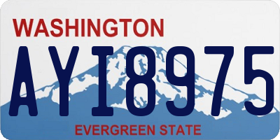 WA license plate AYI8975