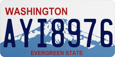 WA license plate AYI8976