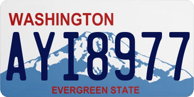 WA license plate AYI8977