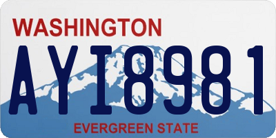 WA license plate AYI8981